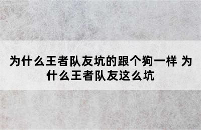 为什么王者队友坑的跟个狗一样 为什么王者队友这么坑